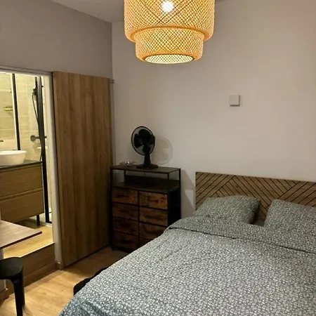 Quai Claude Bernard Apartment Grenoble