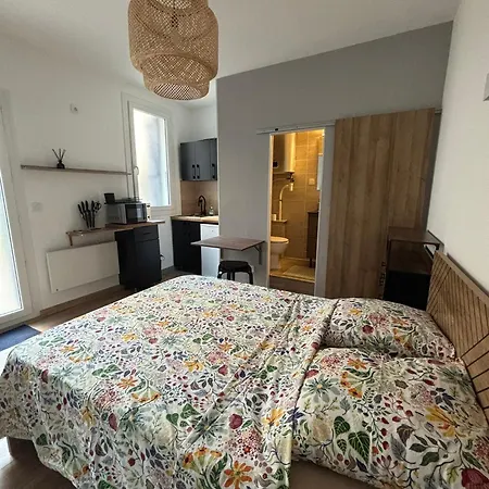 Quai Claude Bernard Apartment *